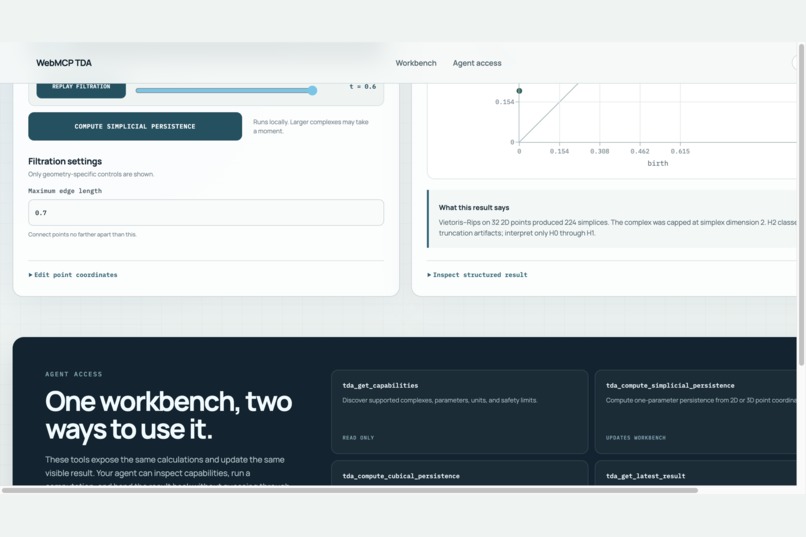 WebMCP TDA – screenshot 3