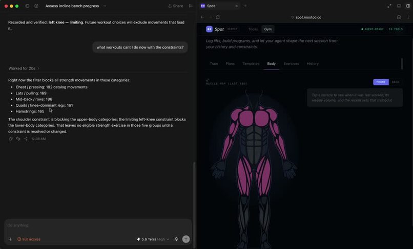 Spot – screenshot 2