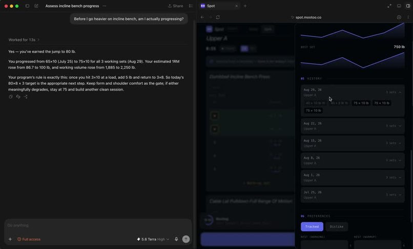Spot – screenshot 3