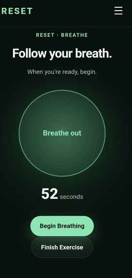 RESET – screenshot 5