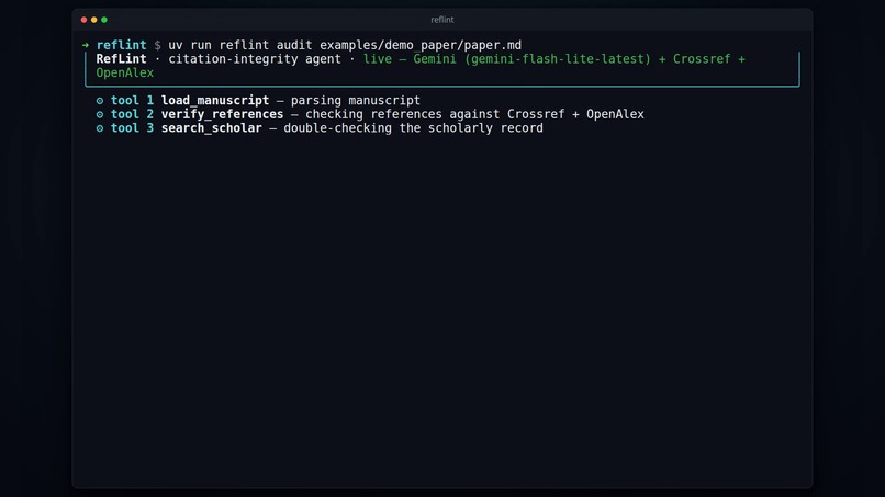 RefLint – screenshot 2