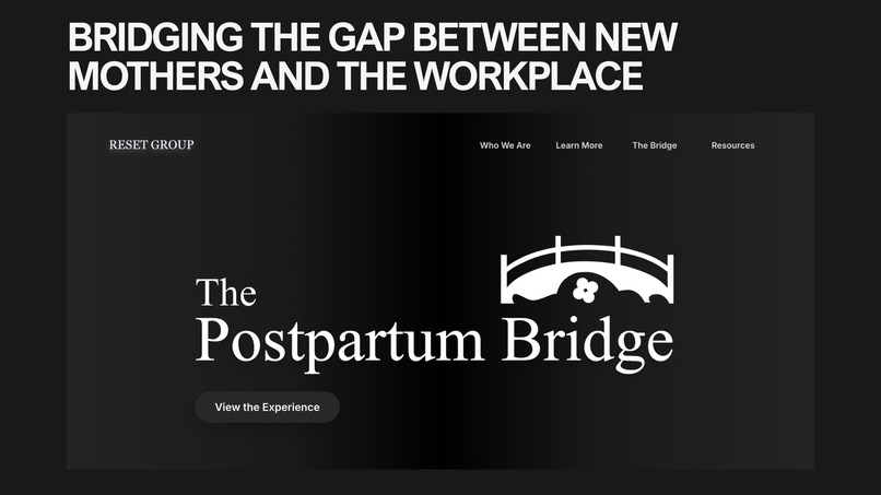 The Postpartum Bridge (Team 21 - Reset Group) – screenshot 1