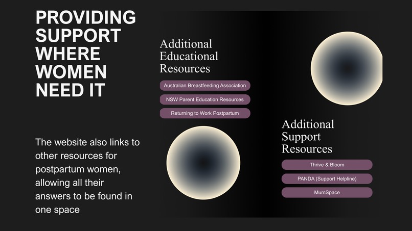 The Postpartum Bridge (Team 21 - Reset Group) – screenshot 3
