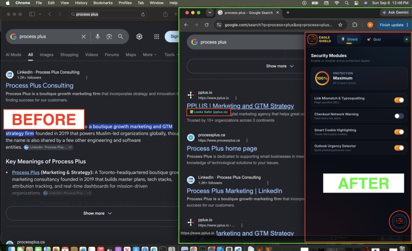 CyberWeb Shield - Your Eagle Guard – screenshot 2