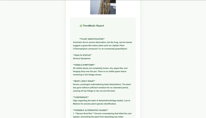 FloraMedic – screenshot 3