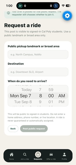 Poly Passengers – screenshot 2