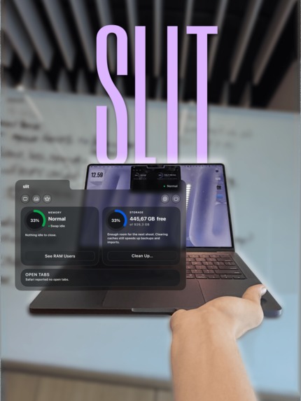 Slit - The Memory Manager – screenshot 1
