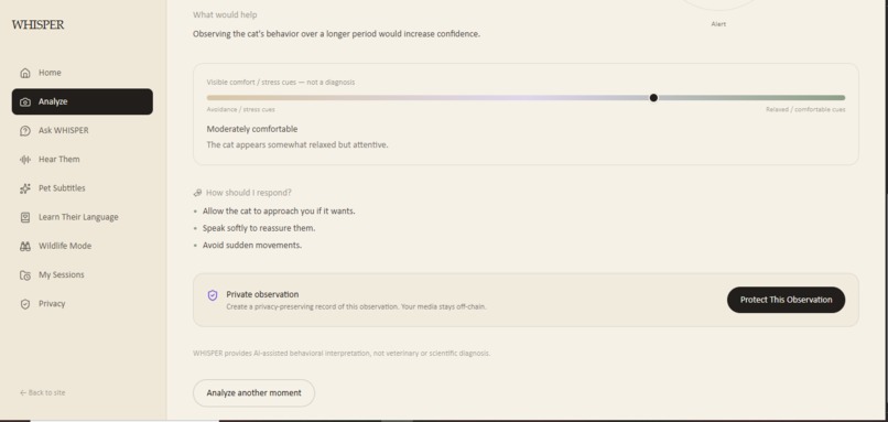 WHISPER – screenshot 4