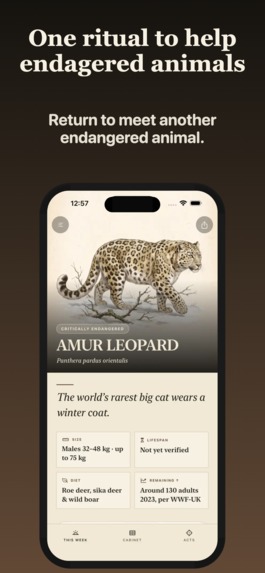 Witness-Endangered Species – screenshot 1