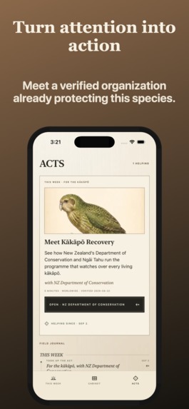 Witness-Endangered Species – screenshot 3