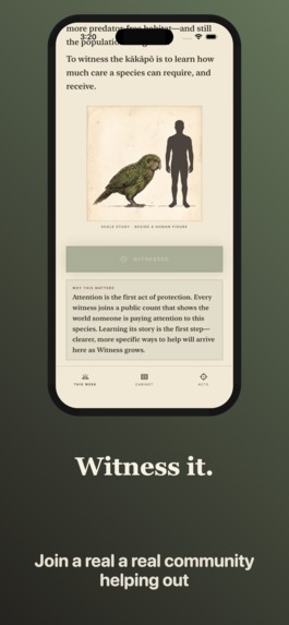 Witness-Endangered Species – screenshot 4