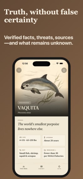 Witness-Endangered Species – screenshot 5