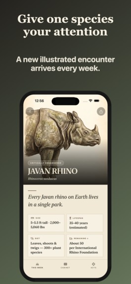 Witness-Endangered Species – screenshot 6