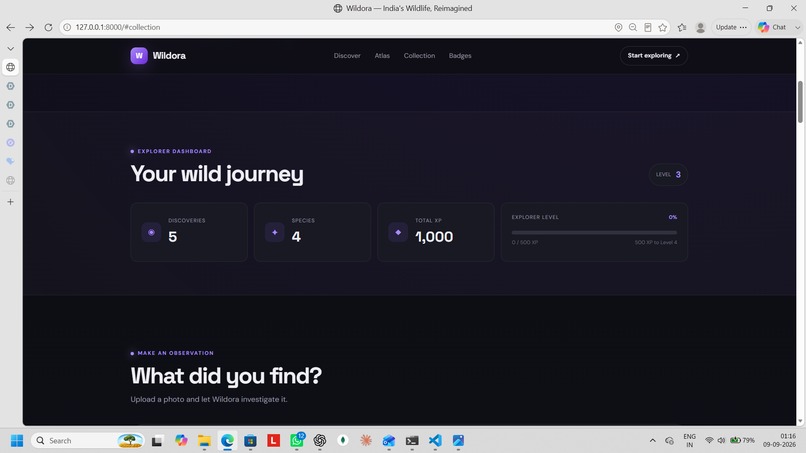 Wildora – screenshot 2