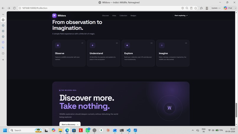 Wildora – screenshot 8