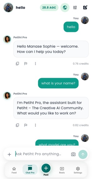 Petiht – screenshot 2