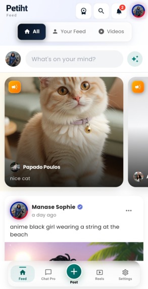 Petiht – screenshot 3