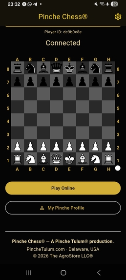 Pinche Tulum® + Pinche Chess® – screenshot 14