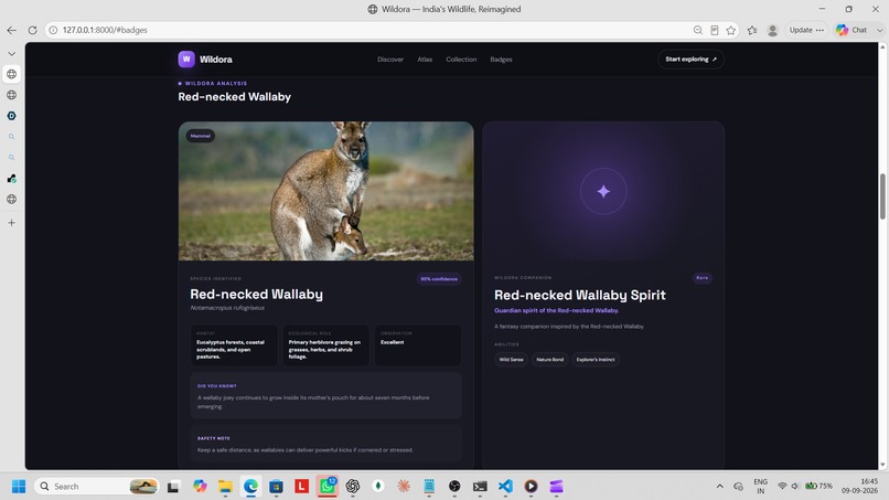 Wildora – screenshot 4