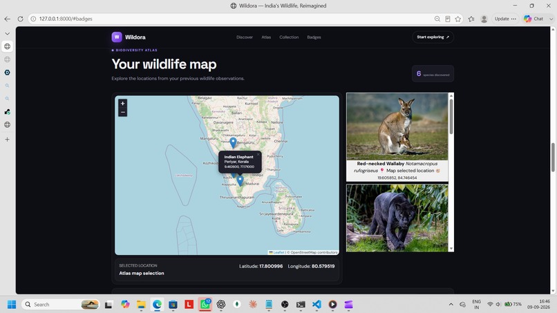 Wildora – screenshot 5
