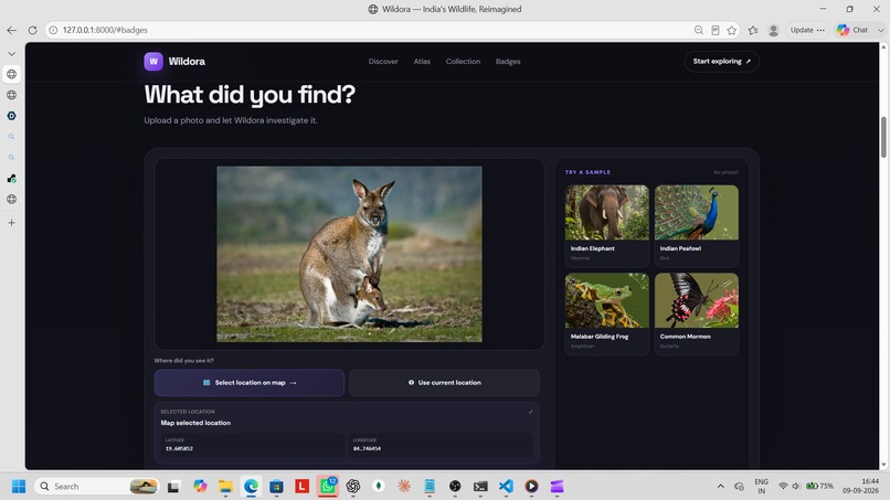 Wildora – screenshot 3