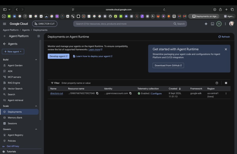Director's Cut – screenshot 6