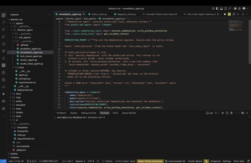 Director's Cut – screenshot 7