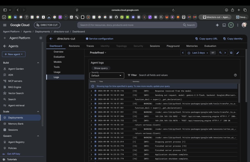 Director's Cut – screenshot 8
