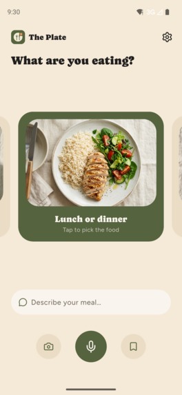 The Plate – screenshot 1