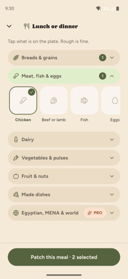 The Plate – screenshot 2