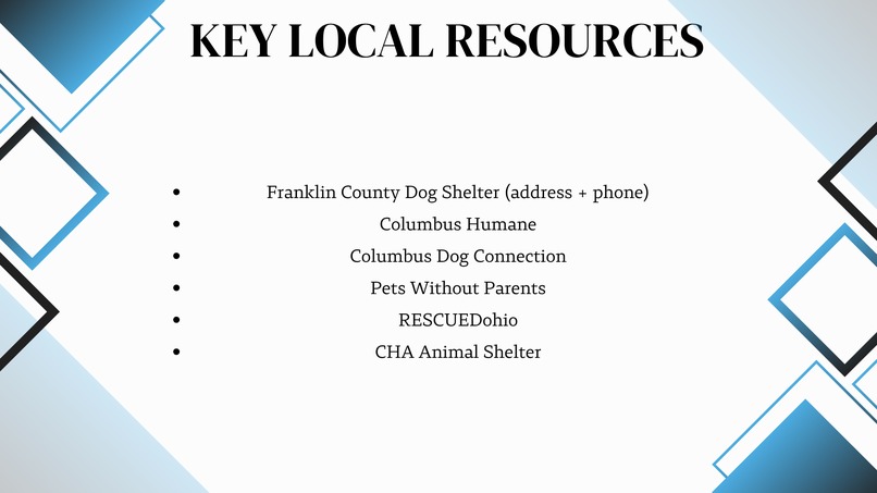 Columbus Dog Locate – screenshot 6
