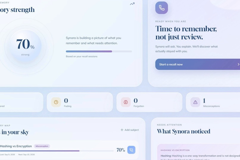 Synora – screenshot 6