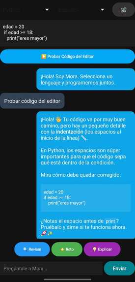 Mora Code AI – screenshot 2