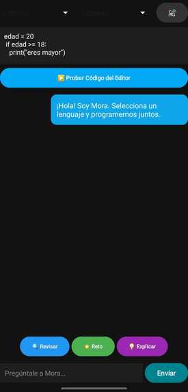 Mora Code AI – screenshot 1