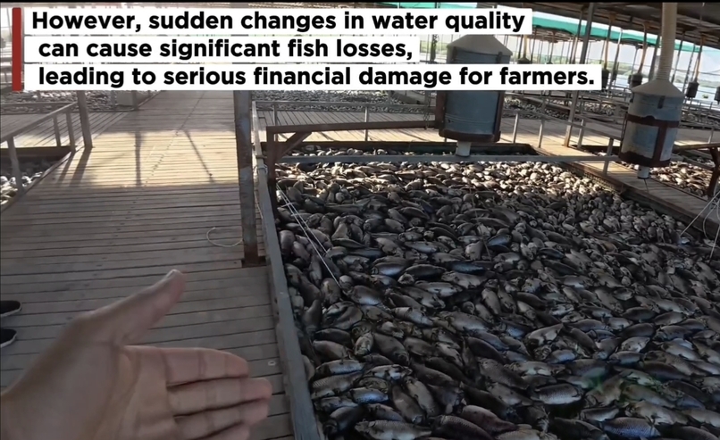 Smart Fish Farm Protection – screenshot 5