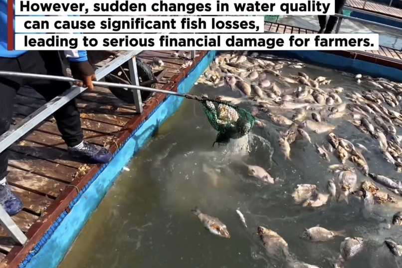 Smart Fish Farm Protection – screenshot 3