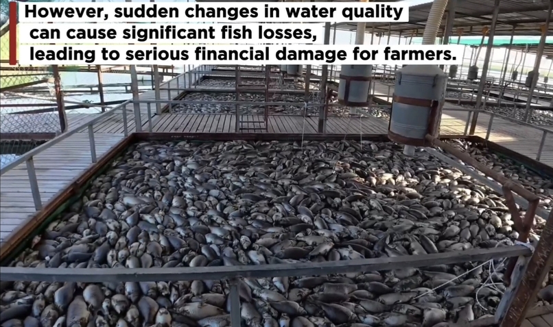 Smart Fish Farm Protection – screenshot 4