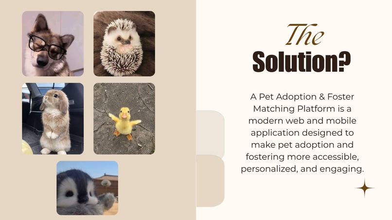 Pet-Match – screenshot 10