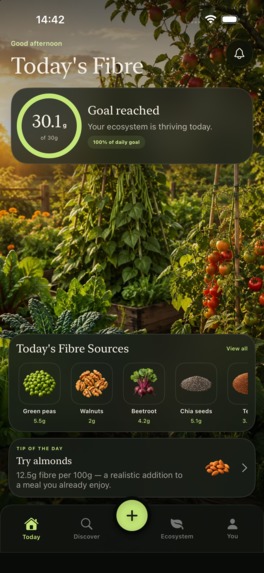 FibreTempo – screenshot 2