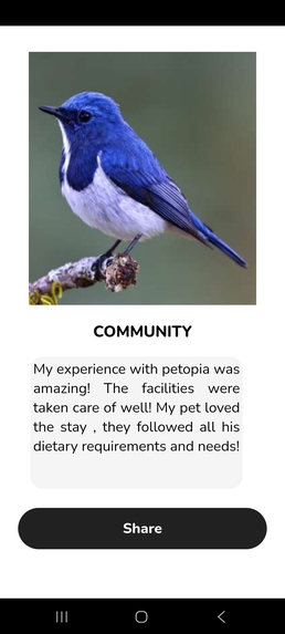 Petopia – screenshot 6