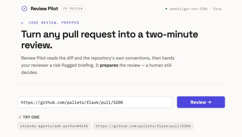 ReviewPilot – screenshot 1