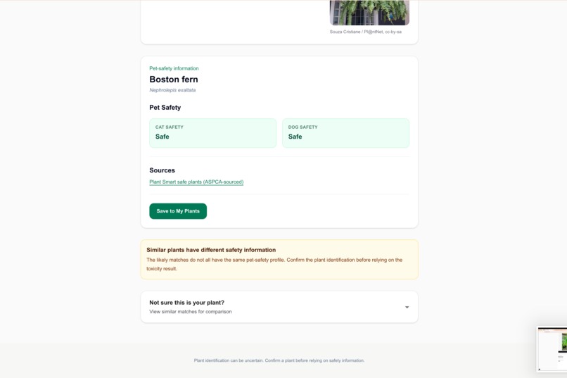 Plant Pet Safety – screenshot 5