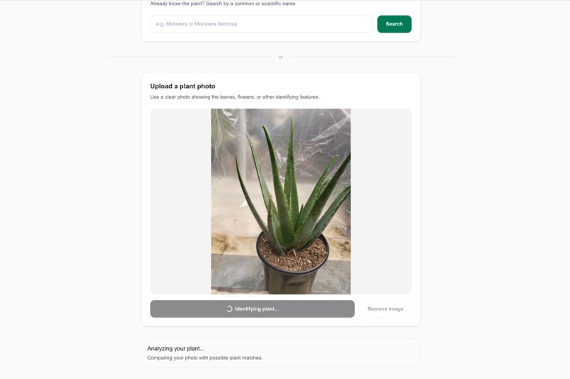 Plant Pet Safety – screenshot 8