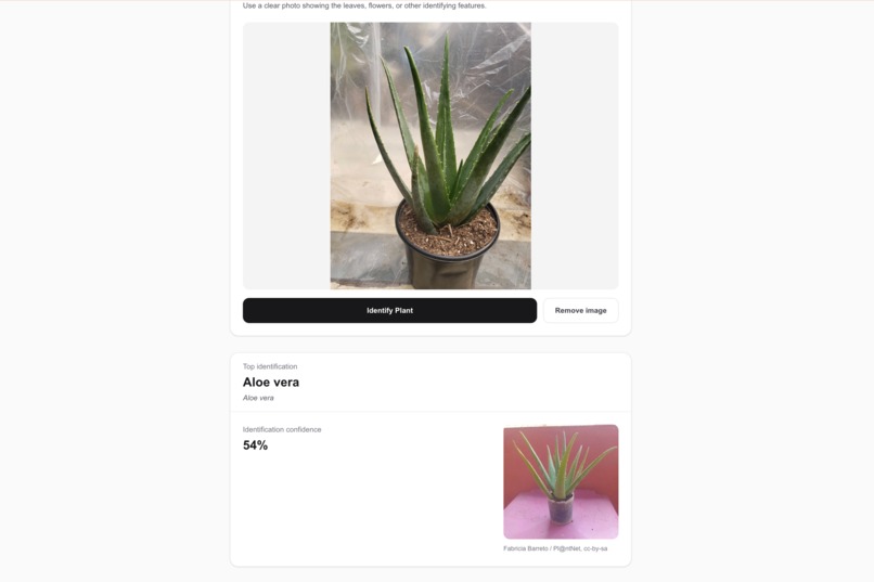 Plant Pet Safety – screenshot 9