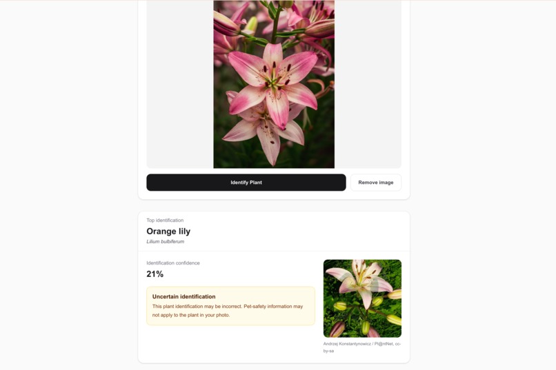 Plant Pet Safety – screenshot 11