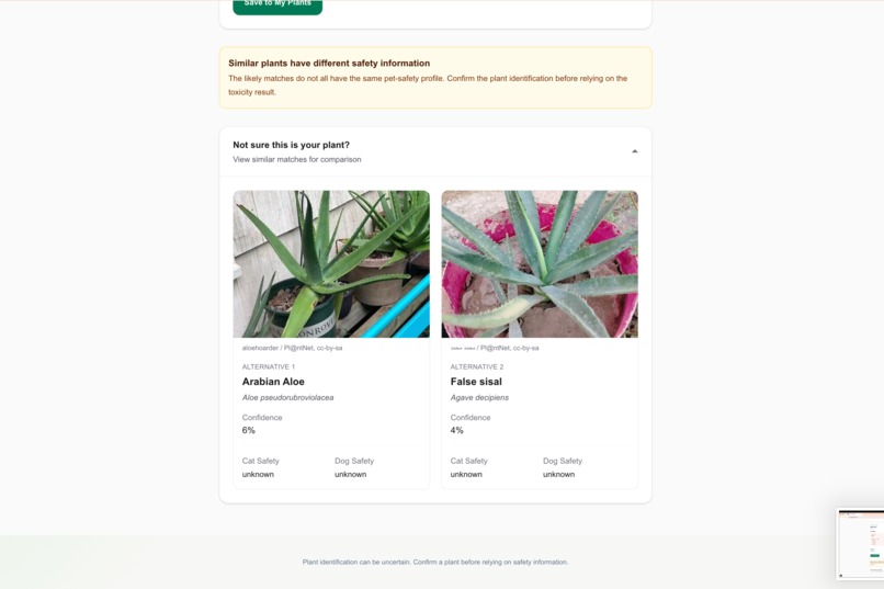 Plant Pet Safety – screenshot 12