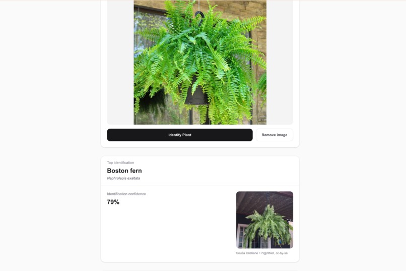 Plant Pet Safety – screenshot 13