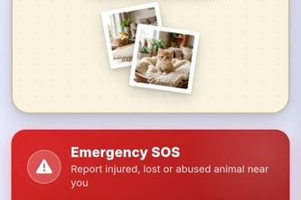 PetCare