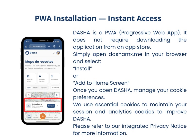 Dasha – screenshot 6