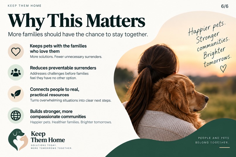 Keep Them Home – screenshot 6